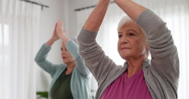 Seniorinnen Yoga Und Kurse Mit Freunden Und Altenheimpfleger Mit Einem — Stockvideo