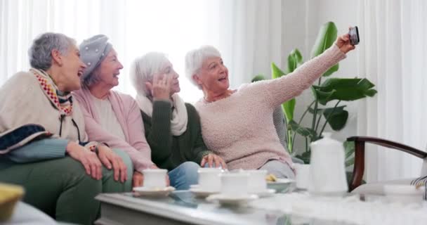 Selfie Memories Old Woman Friends Living Room Home Together Tea — Stock Video