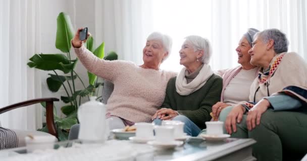 Phone Selfie Elderly Woman Friends Living Room Home Together Tea — Stock Video