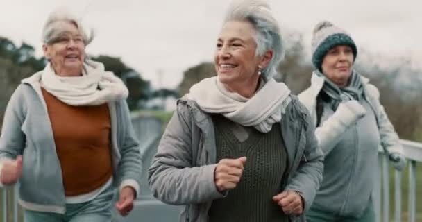 シニアの友人 フィットネス 健康で新鮮な空気で歩きます スピードウォーク トレーニング 自由なエネルギーを持つ成熟した女性とグループ — ストック動画