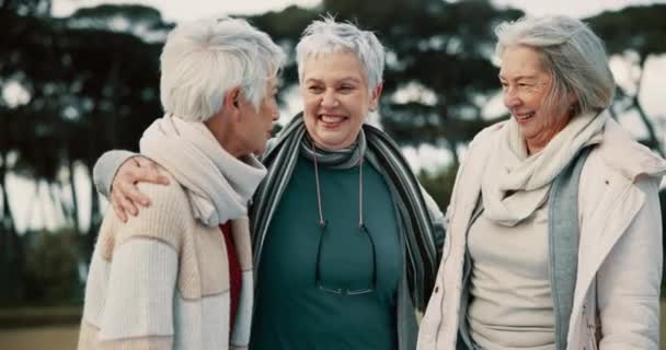 おかしな 上級の女性の友人は 退職中に絆を結ぶために一緒に公園で屋外にいます ハッピー そしてユーモアや楽しみのために庭でチャットする高齢者のグループと笑う — ストック動画