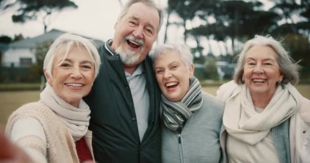 Amici Anziani Selfie Gruppo Parco Con Sorriso Viso Eccitati Insieme — Video Stock