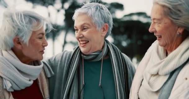 Beszélgetés Nevetés Idős Hölgy Barátok Szabadtéri Egy Parkban Együtt Kötődés — Stock videók