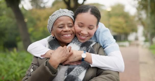 Verpleegster Pensionering Park Met Oude Vrouw Een Rolstoel Voor Gelukkige — Stockvideo