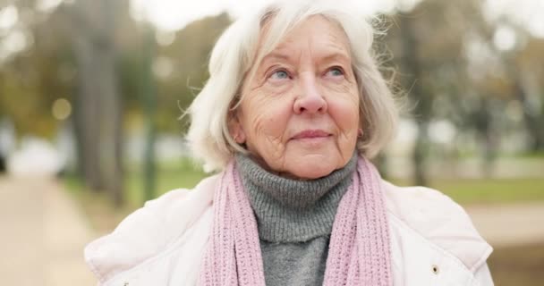 Starsza Kobieta Myśląc Parku Szczęśliwy Spacer Świeżym Powietrzu Wellness Emeryturze — Wideo stockowe