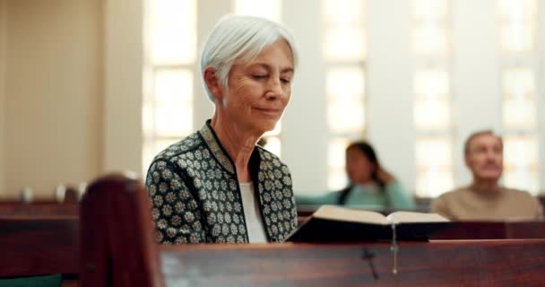 Tanrı Için Kilisede Ibadet Kitap Okumak Yaşlı Bir Kadın Katedral — Stok video