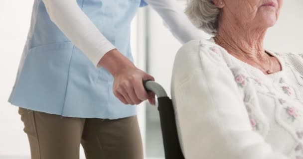 Медсестра Пожилая Женщина Толкать Инвалидное Кресло Помощью Руки Ухода Поддержки — стоковое видео