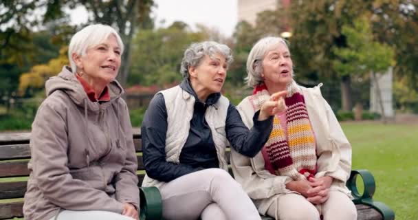 Idősebb Nők Barátok Mutogatnak Parkban Kilátással Nyugdíjas Mosollyal Kertben Természet — Stock videók