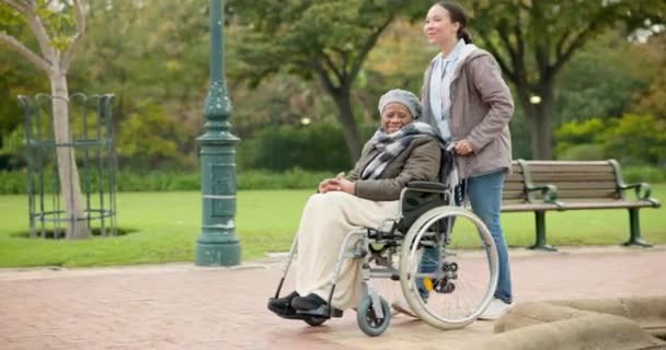 Sestra Klid Park Starou Ženou Invalidním Vozíku Pro Odchod Důchodu — Stock video