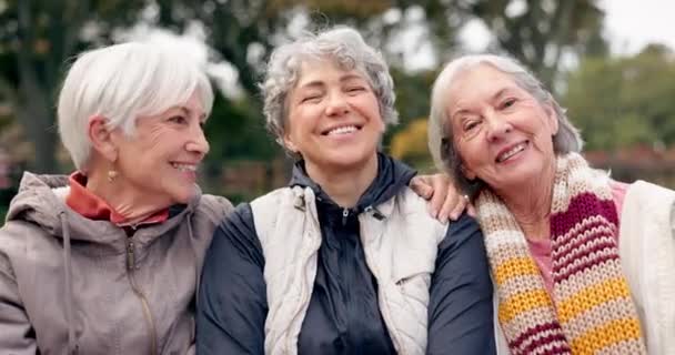 Senioren Frauen Und Freunde Stehen Sich Park Mit Gebundenen Augen — Stockvideo