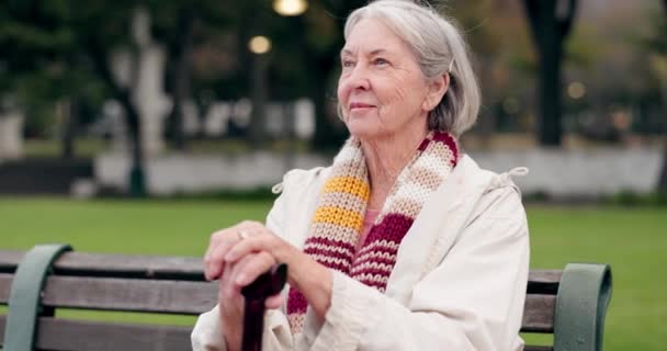 思考和一个在公园的老年妇女夏天 想法或退休的远景 回忆和一个老年人在自然的长椅上 带着灵感 记忆或户外的倒影 — 图库视频影像