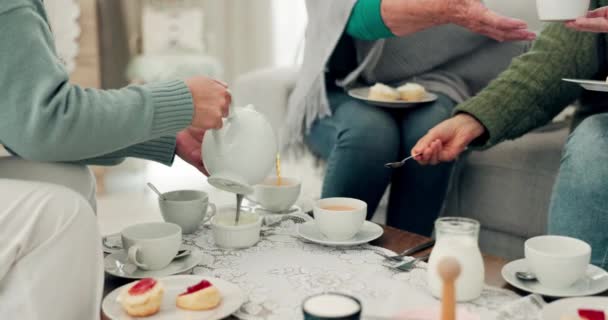 在退休期间 他们的手 茶会和老朋友们一起在家里的客厅里拜访 和一群老年人一起坐在房子里的沙发上 — 图库视频影像