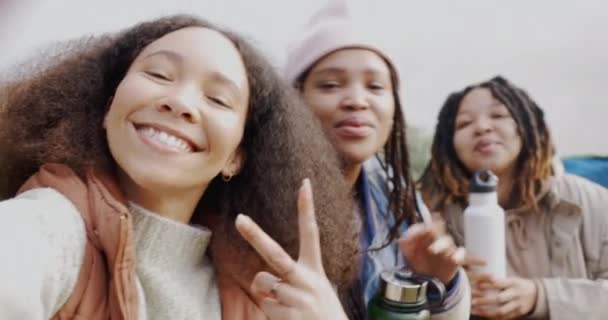 Φίλοι Selfie Και Πινακίδα Ειρήνης Υπαίθρια Στη Φύση Για Περιπέτεια — Αρχείο Βίντεο