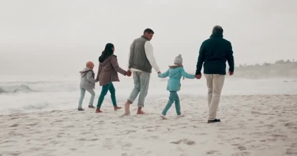 夏の休暇や休暇のためにビーチで家族と一緒に自由 トラベル 海や海によって海岸で両親と一緒に自然と幸せな子供たち — ストック動画