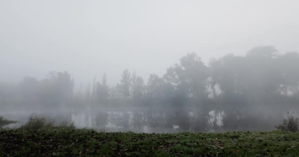 Natura Mgła Jezioro Lesie Drzewami Zielona Trawa Zima Pogoda Spokój — Wideo stockowe