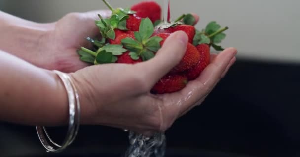 Manos Agua Una Persona Lavando Fresas Fregadero Cocina Primer Plano — Vídeos de Stock