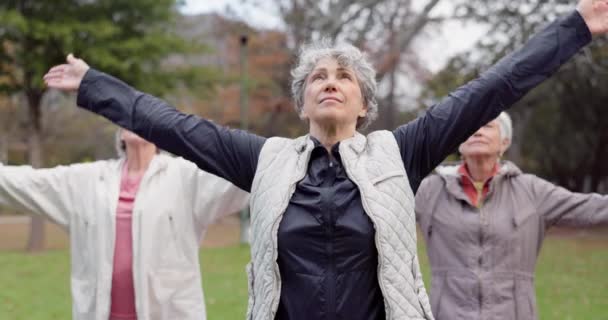 Gezondheid Park Oudere Vrouwen Stretching Yoga Lichaamsbeweging Voor Wellness Pensionering — Stockvideo