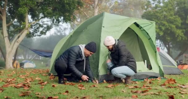 搭帐篷和带着一对夫妇外出探险 放松和旅行 与男男女女一起在野营公园远足 远足和登山度假 — 图库视频影像