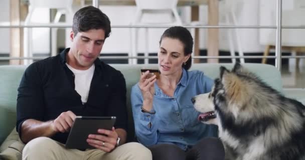 Kredi Kartı Tablet Çift Alışverişi Köpek Daktilo Şifresi Indirim Kodu — Stok video