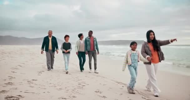 Große Familie Händchenhalten Und Strandspaziergänge Zur Entspannung Bewölkten Tagen Verbindung — Stockvideo