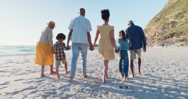 后背和大家庭牵着手 在大自然中漫步 追求旅行 爱或自由 与父母和祖父母一起在海里观看后视镜 支持和孩子们度过夏天 度假或探险 — 图库视频影像