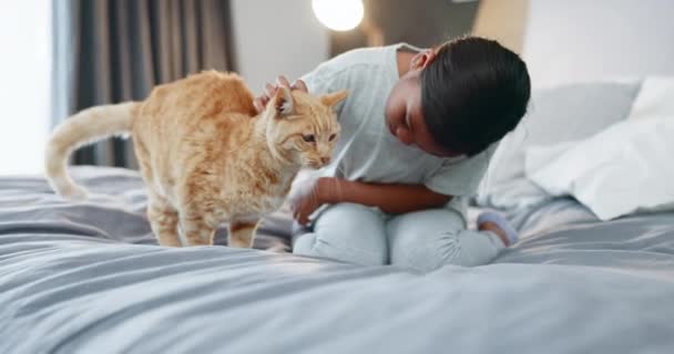 Kinder Schlafzimmer Und Ein Mädchen Das Seine Katze Morgens Streichelt — Stockvideo