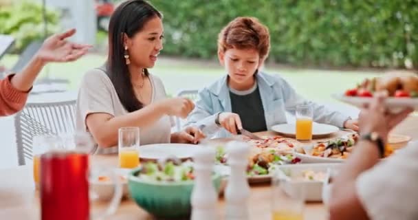 Aile Yemek Açık Hava Öğle Yemeği Parti Etkinlik Için Servis — Stok video