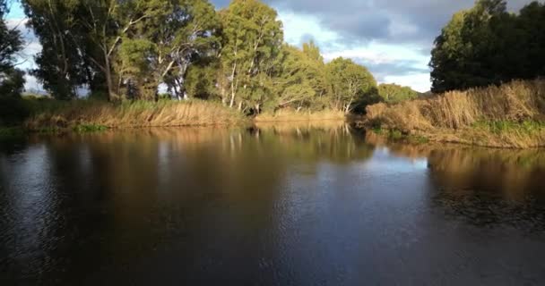 Landschaft Fluss Und Grün Mit Bäumen Und Natur Umwelt Und — Stockvideo