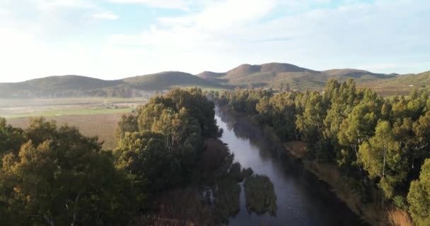 Landschaft Fluss Und Bäume Mit Natur Umwelt Und Landschaft Luftaufnahme — Stockvideo