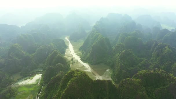 在越南 在丛林 自然和环境的天空中 高山上的无人机 风景和河流被雾笼罩 热带森林中的绿色 地平线上的丘陵和云彩 乡村或森林中的灌木生长 — 图库视频影像