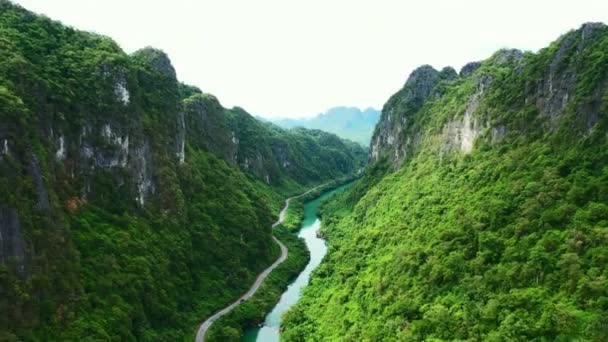 Dron Řeka Údolí Silnicí Lese Pro Životní Prostředí Krajinu Divočiny — Stock video