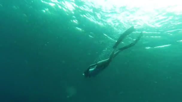Kadın Altında Şnorkelle Yüzme Dalgıçlık Tatilde Dalış Dalış Kadın Özgürlük — Stok video