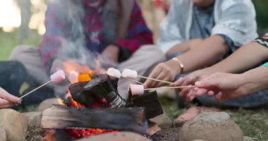 Marshmallow, şenlik ateşi ve bir grup insan bir partide ya da dışarıda kutlama yapmak için bir ateşin başında toplanıyorlar. Gençler için tatil ya da tatil maceralarında bağ, kamp ve özgürlük.