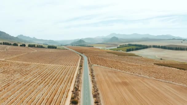 Agricultura Fazenda Aérea Estrada Campo Para Sustentabilidade Meio Ambiente Ecologia — Vídeo de Stock