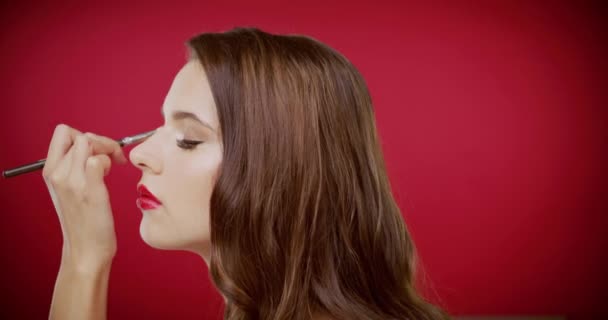 Makyaj Fırça Güzellik Stüdyoda Kozmetik Cazibe Parıltı Için Göz Farı — Stok video