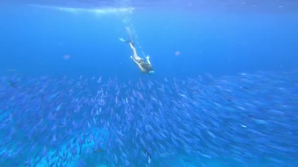Oceano Mergulho Mulher Nadando Subaquático Para Aventura Férias Explorar Escola — Vídeo de Stock