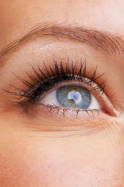 Kobieta Oczy Zbliżenie Rzęsami Makijaż Wzrok Tęczówką Zoom Makro Gałka — Zdjęcie stockowe