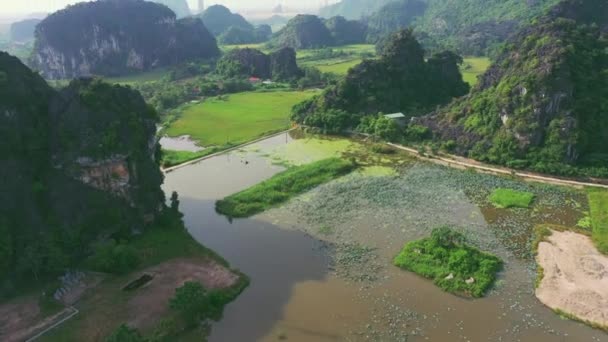 Беспилотник Озеро Горы Лесу Природа Летнее Солнце Свободой Тропической Устойчивой — стоковое видео