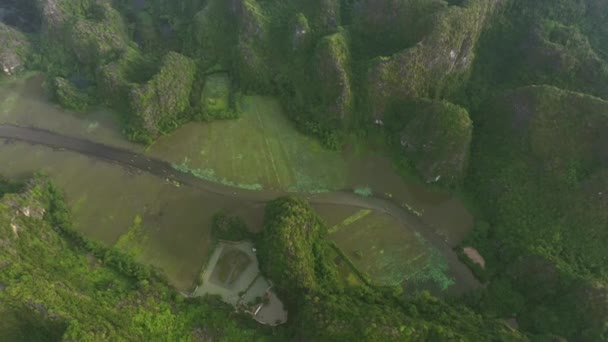 Горы Реки Дроны Джунглях Пейзаж Природой Водой Путешествиями Сельской Местности — стоковое видео
