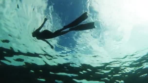 Mergulho Natação Mulher Oceano Para Aventura Liberdade Férias Para Explorar — Vídeo de Stock