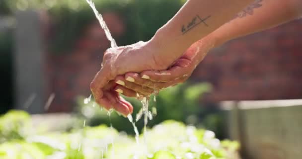 水和手与溅 清洁和洗涤与卫生 水化和生态友好 有液体 可持续或有自然 水或健康环境的衣服 手指或妇女 — 图库视频影像