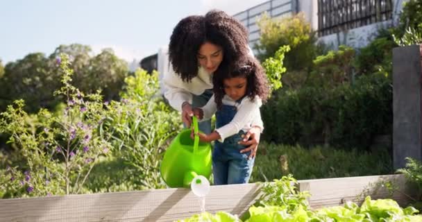 园中的母本 女童和水生植物 学习和教学 以便粘合 非洲妈妈 快乐的孩子和浇灌自然可以成为蔬菜 食品或农业教育促进农业发展的工具 — 图库视频影像