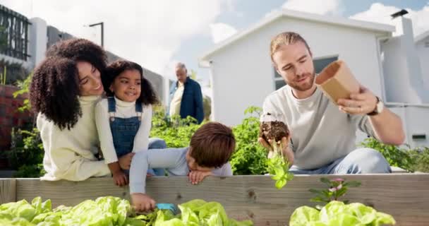 家庭菜園での家族 農業や植物 結合のための学習と教え アフリカのお母さんとお父さんと一緒に野菜 食べ物 農業教育のための子供 幸せな両親と庭の屋外 — ストック動画