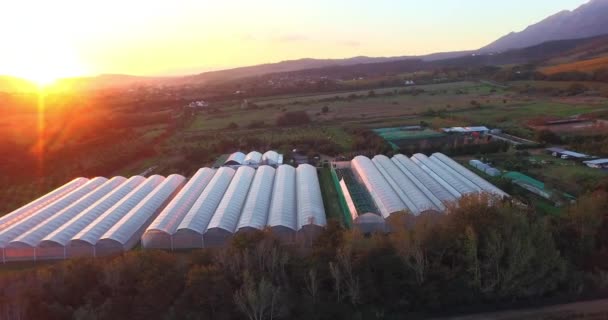 Azienda Agricola Industria Paesaggio Drone Con Edifici Natura Campagna Con — Video Stock