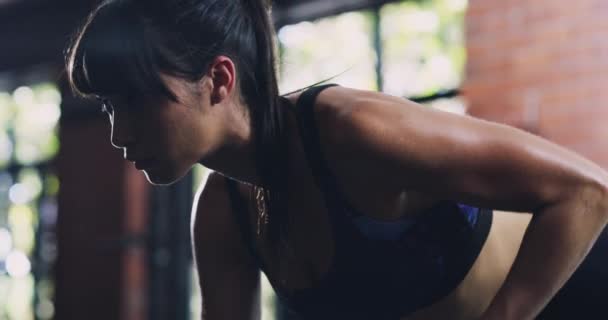 Bras Haltère Exercice Femme Faisant Entraînement Défi Remise Forme Sportive — Video