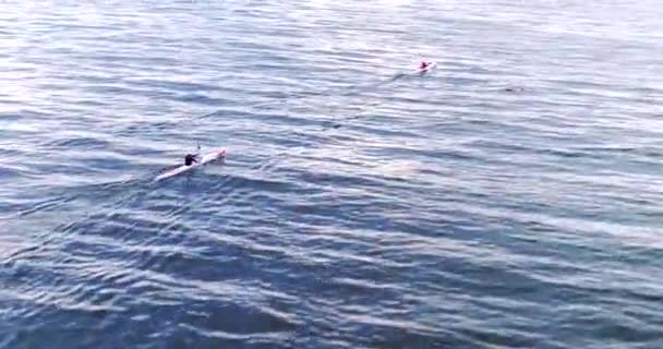 Oceano Corrida Pessoas Caiaque Com Drone Velocidade Esportes Aquáticos Férias — Vídeo de Stock