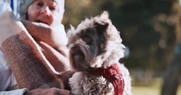 Εξωτερική Χαλαρώστε Και Ηλικιωμένη Γυναίκα Ένα Σκύλο Ευτυχία Και Συνταξιοδότηση — Αρχείο Βίντεο