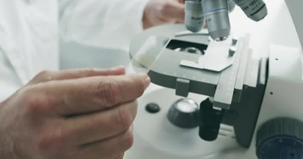 研究室の顕微鏡スライド 科学者 遺伝子とDna粒子の研究分析 幹細胞評価のためのクローズアップ バイオテクノロジー レンズ — ストック動画