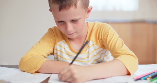 Domácí Vzdělávání Psaní Chlapec Nebo Dítě Učení Tvůrčí Vývoj Kreslení — Stock video