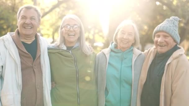 Porträt Von Seniorenfreunden Park Zusammen Mit Sonnenschein Bäumen Und Glück — Stockvideo
